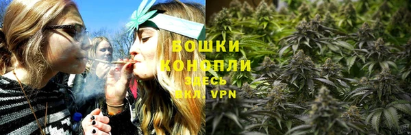 сатива Нея