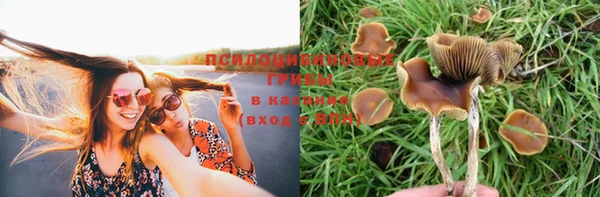 наркотики Киров