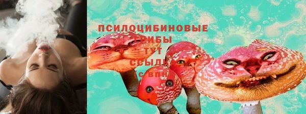 сатива Нея