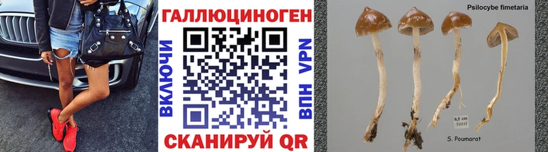блэк спрут рабочий сайт  купить   Фокино  Галлюциногенные грибы ЛСД 